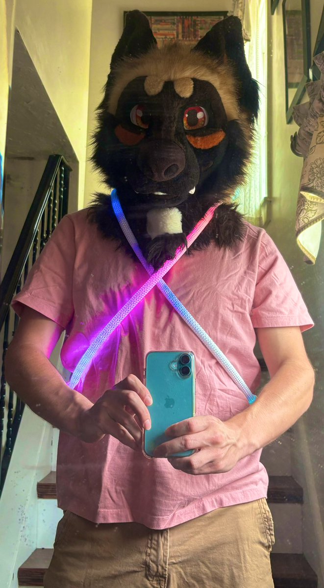 MaximMalinois's tweet image. Happy #FursuitFriday from this ravey dog! 😁

I’m terrible with photos… 😭😂