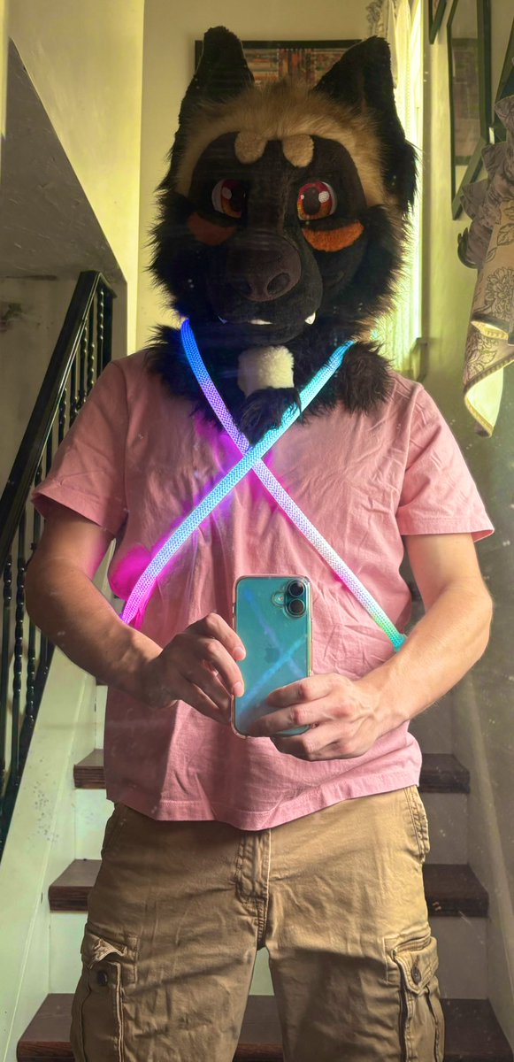 MaximMalinois's tweet image. Happy #FursuitFriday from this ravey dog! 😁

I’m terrible with photos… 😭😂