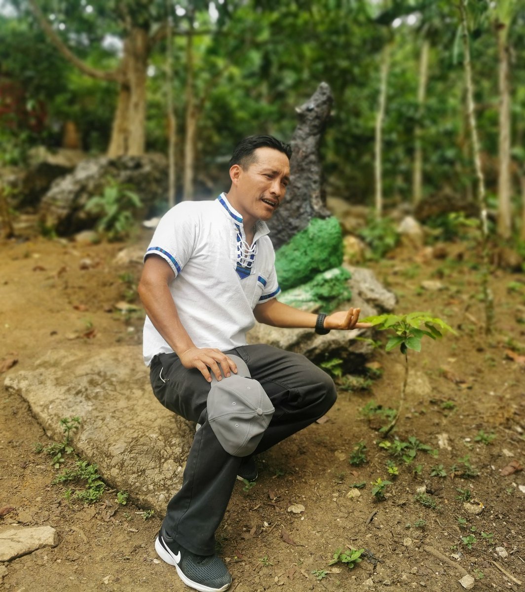 agendapropiaap's tweet image. 🌧️| La comunidad Q’eqchi’ en Alta Verapaz 🇬🇹, fue arrasada por lluvias en 2020. Líderes como el profesor Esteban Ax promueven el cuidado del medio ambiente y el respeto de los respiraderos sagrados de la tierra.
Revive la historia:
bit.ly/3SOVeGs