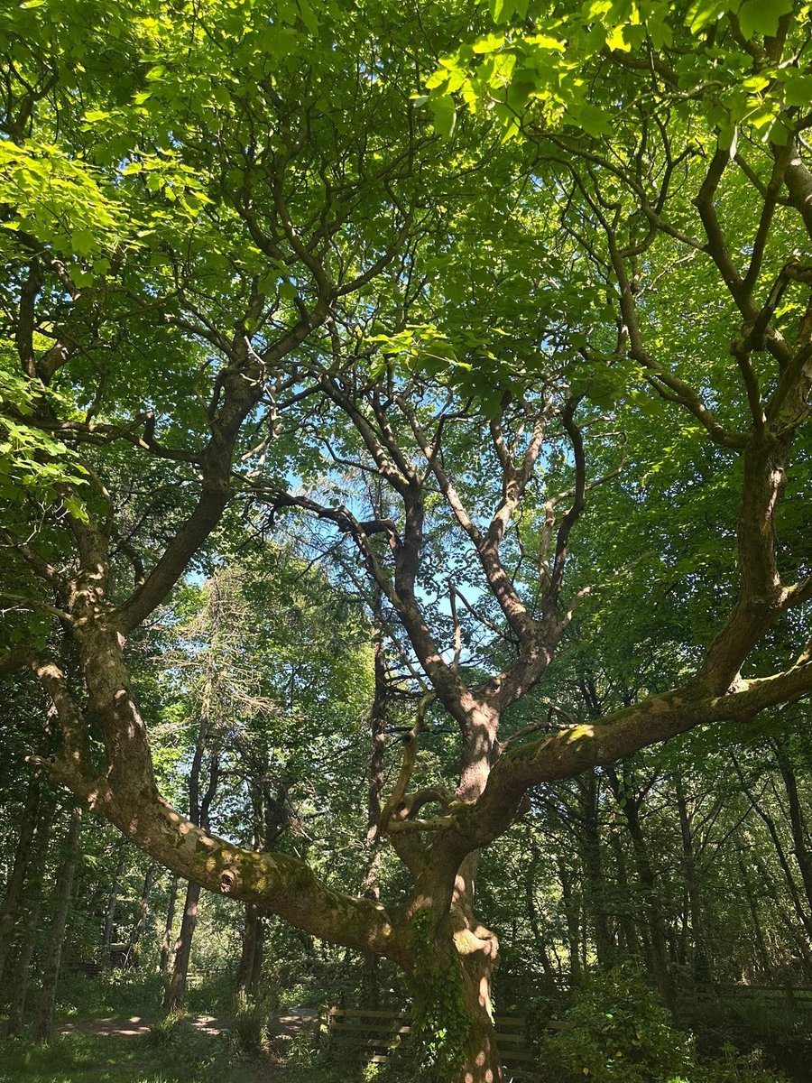 Penrhos is a case in point  Ynys môn doesn’t  need another holiday village plonked here!  so we are fighting to keep this from happening ! #SavePenrhos #AchubPenrhos