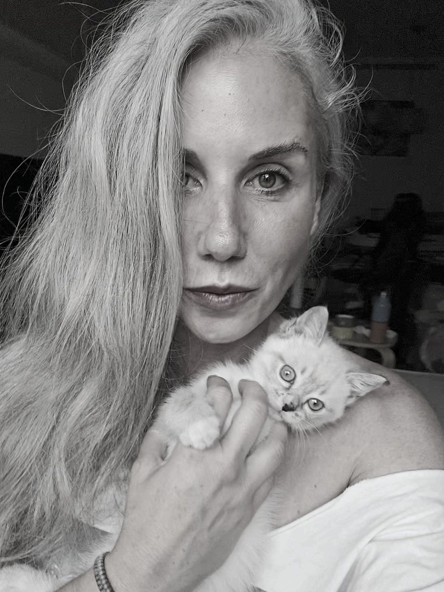 AstoVirgy79's tweet photo. Mother of cats!! https://t.co/jsPpXEyZgM