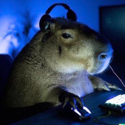 GabrusdGabrusd2's tweet photo. @Okami_Heiwa Capivara Gemer fds https://t.co/uB4p0ItznH
