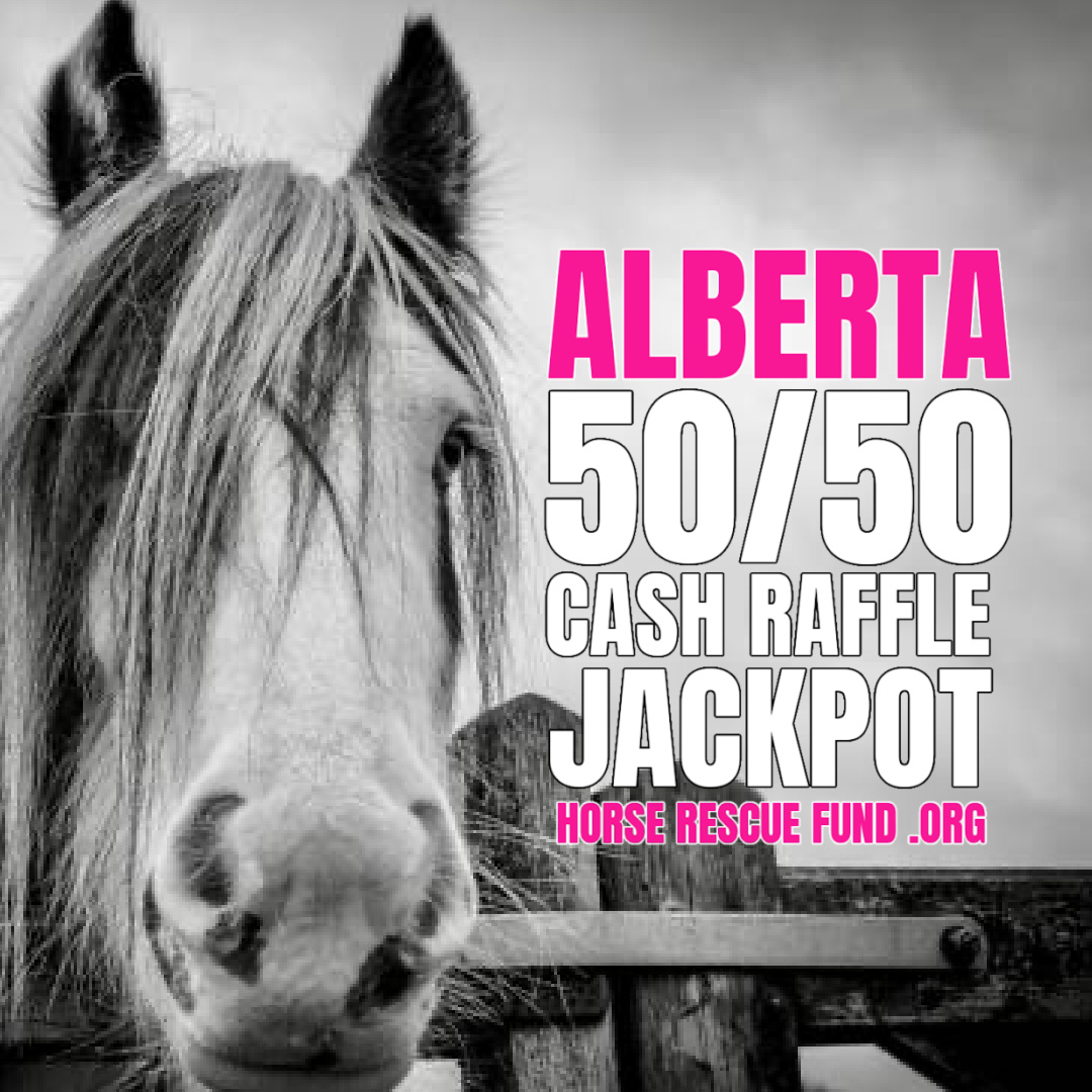 Ban Horse Slaughter (@horseslaughter_) on Twitter photo Wildfires are raging in multiple provinces in #Canada - horserescuefund.org <== is running a fully licensed 50/50 to help horses in distress.
#banhorseslaughter <a href="/jannarden/">Jann “stop live horse export” Arden</a> <a href="/Marie_Bennett/">Marie Bennett</a> <a href="/horse_fund/">Horse Rescue Fund</a> #hrf #horses #wildfire Wildfires are raging in multiple provinces in #Canada - horserescuefund.org <== is running a fully licensed 50/50 to help horses in distress.
#banhorseslaughter <a href="/jannarden/">Jann “stop live horse export” Arden</a> <a href="/Marie_Bennett/">Marie Bennett</a> <a href="/horse_fund/">Horse Rescue Fund</a> #hrf #horses #wildfire