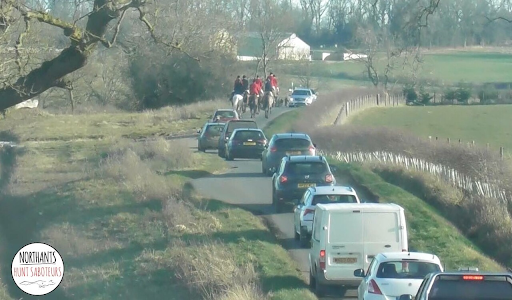 Nothing to see here — just the usual hunt havoc. This time it’s the Cottesmore Hunt blocking the road, as if they own it. This is rural disruption. It’s time to end the chaos. If this has happened to you, we want to know hunthavoc.info

Credit: <a href="/NhantsHuntsabs/">Northants_huntsaboteurs</a>