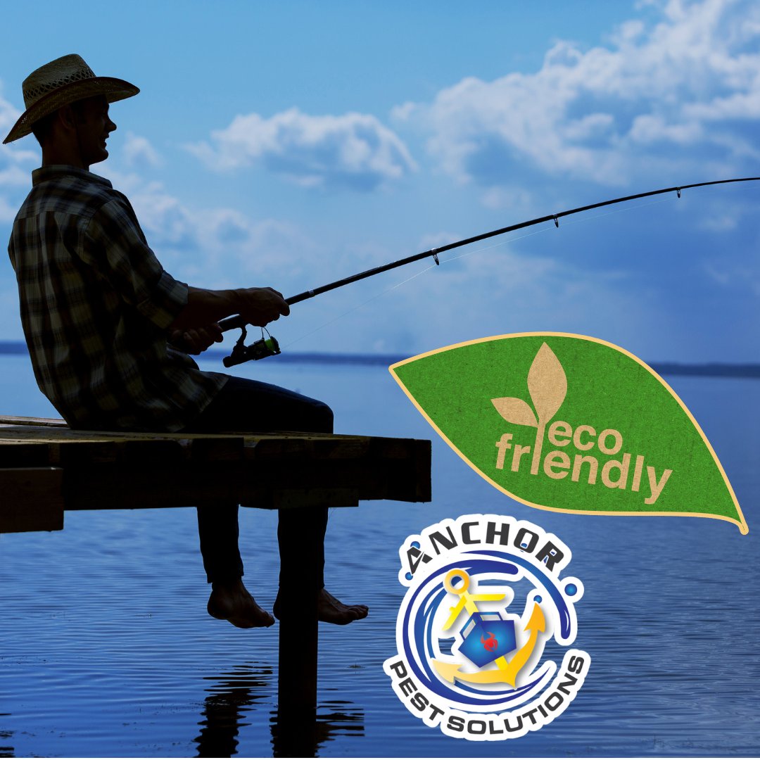 anchor_pest's tweet photo. 🎣 Make sure those memories you're making with Dad on the dock aren't clouded with memories of spiders &amp; their webs! Our eco-friendly pest solutions make sure those memories are as pest-free as possible.🚤🚫🕸🕷

#DockPestSolutions #NoMoreSpiders #LakeMemories https://t.co/GMtXDxR5Fm
