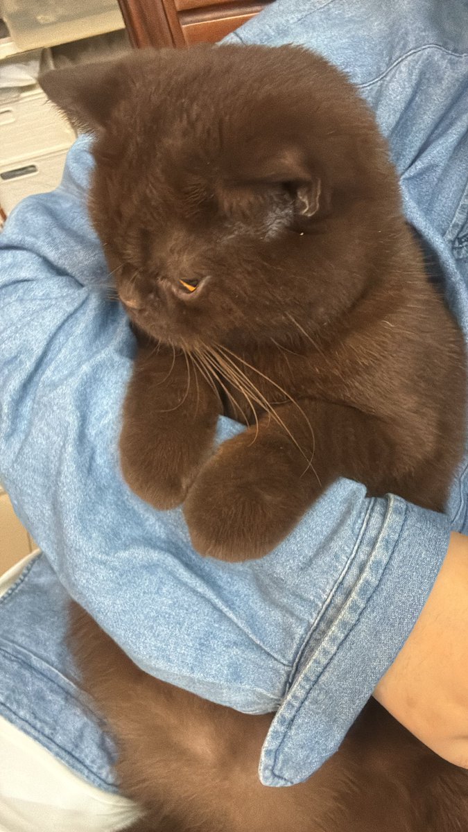 รักกันอย่าบังคับดิวะ