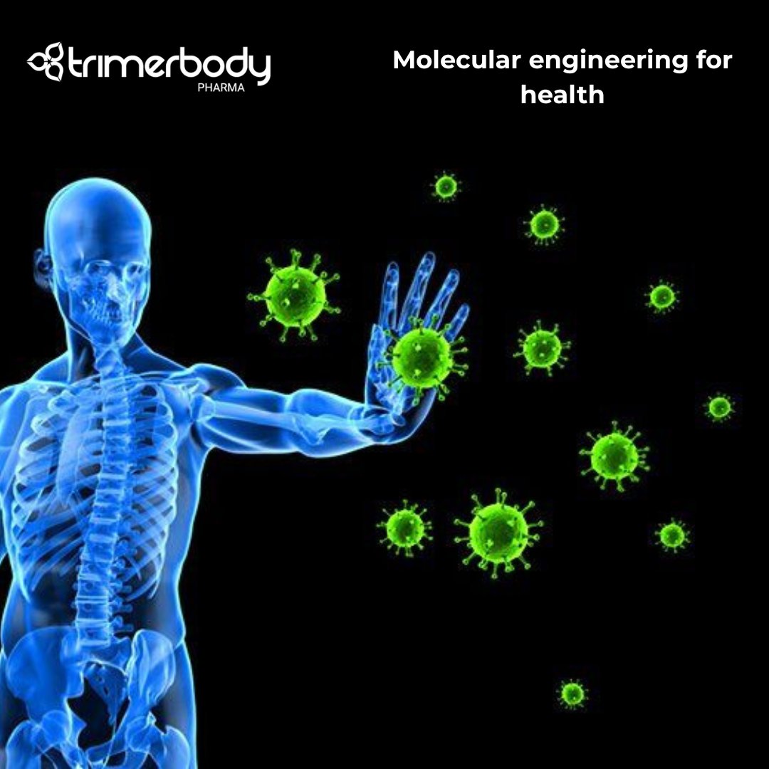 TrimerbodyPh's tweet image. 🧠💡 Did you know your immune system can be trained to fight cancer? Immunotherapy boosts your body's defenses to recognize and destroy cancer cells—an exciting revolution in treatment without relying solely on drugs or radiation.