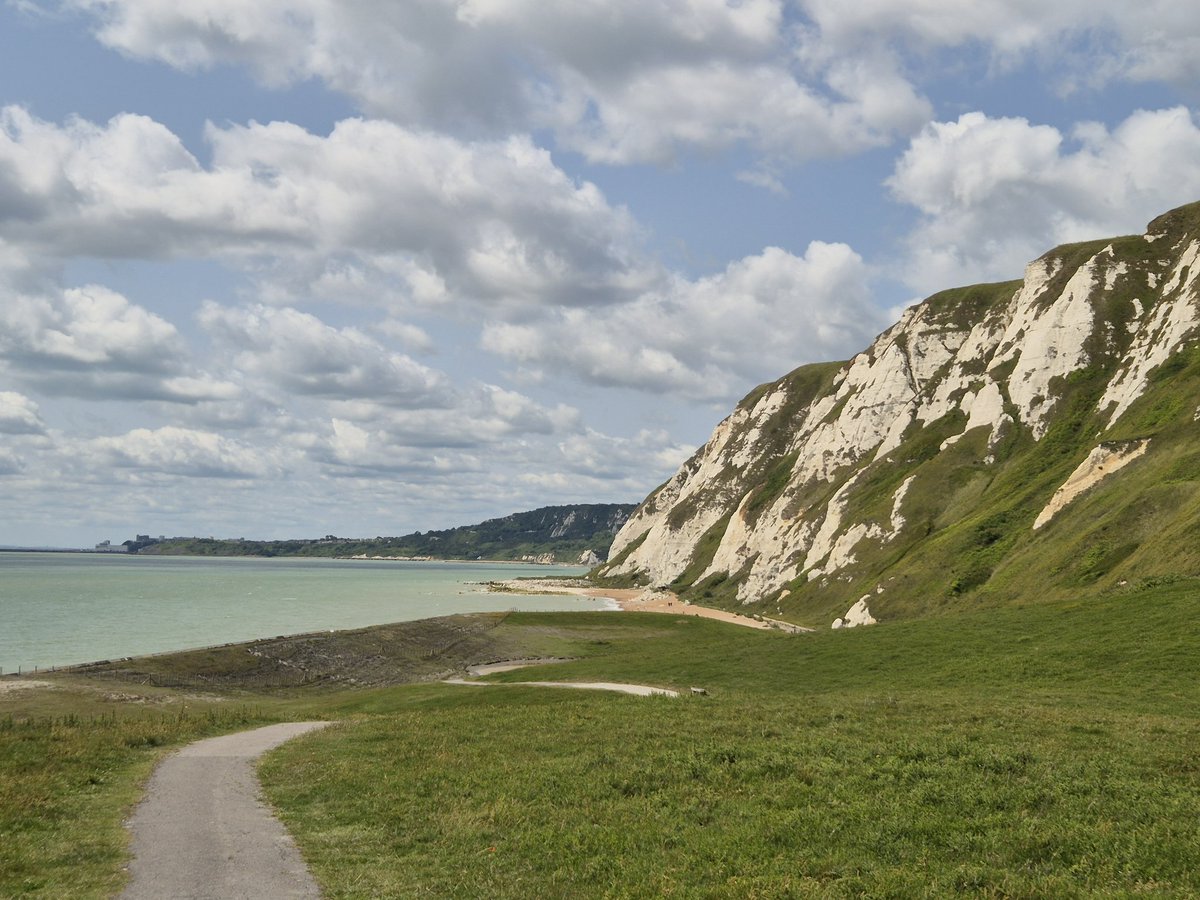 GeraldM64883070's tweet photo. Samphire Hoe, Euotunnel's nature reserve. Heard a skylark, spotted an orchid (😅) and... rock samphire obvs  #fingerpostfriday @SamphireHoe1997 #whitecliffsofDover #Kentcoast https://t.co/oOsgdStHRS