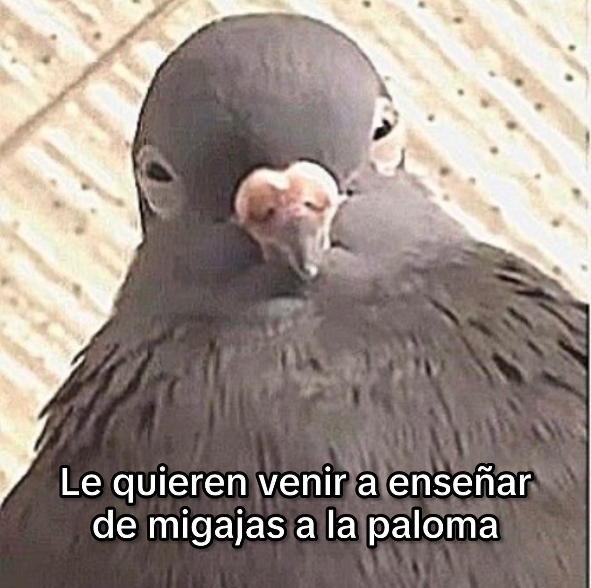 Escritos (@aquilolei) on Twitter photo 