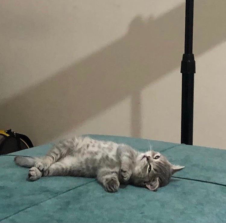 เค้าคงไม่รักชั้นแล้วจิงๆ