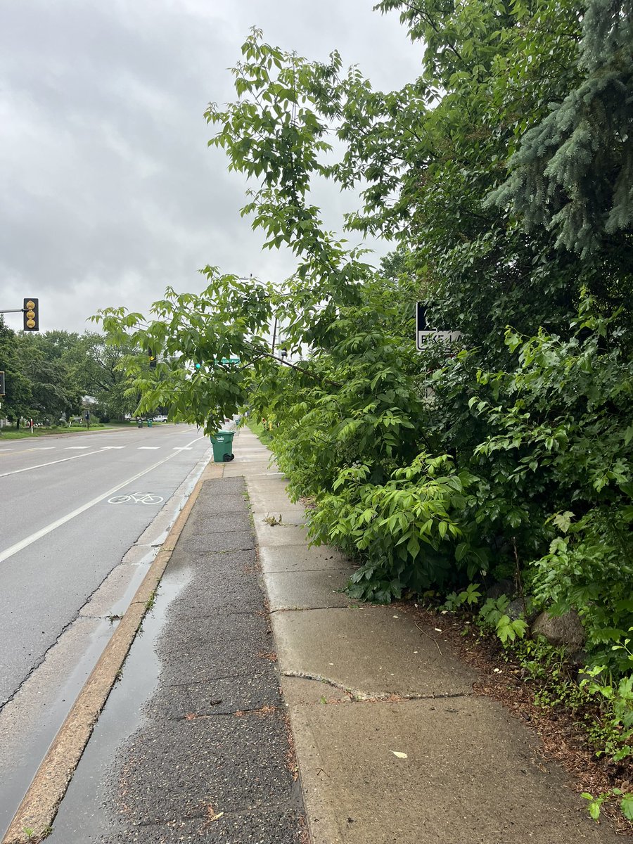 Moriah “Tall Energy” Stephens tweet media