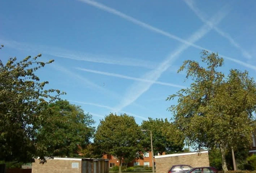 paulrobins10's tweet photo. @citizenlensnc @thedivakim @SuePearFL They have been doing this for  years, here is a picture I took in 2009 https://t.co/7lnHNaQ50Q