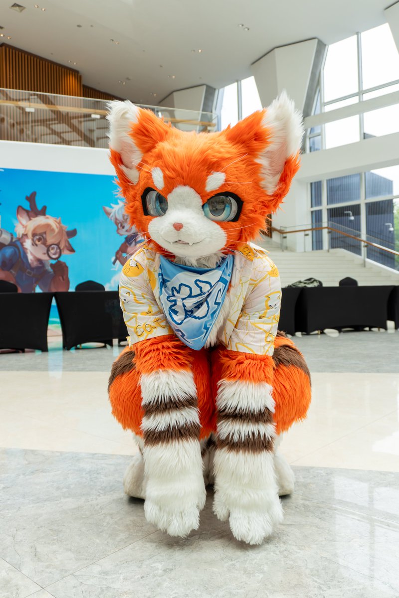 #FursuitFriday 
差点忘记发毛五了！赶紧猫猫蹲一下

摄影：@狸焰（B站ID）