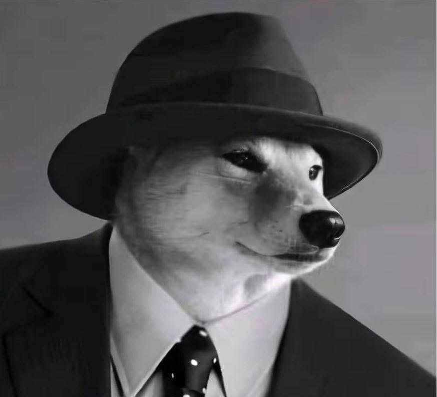 يعني انت خبير سياسي ديني اقتصادي هندسي طبي اجتماعي زراعي بيئي رياضي