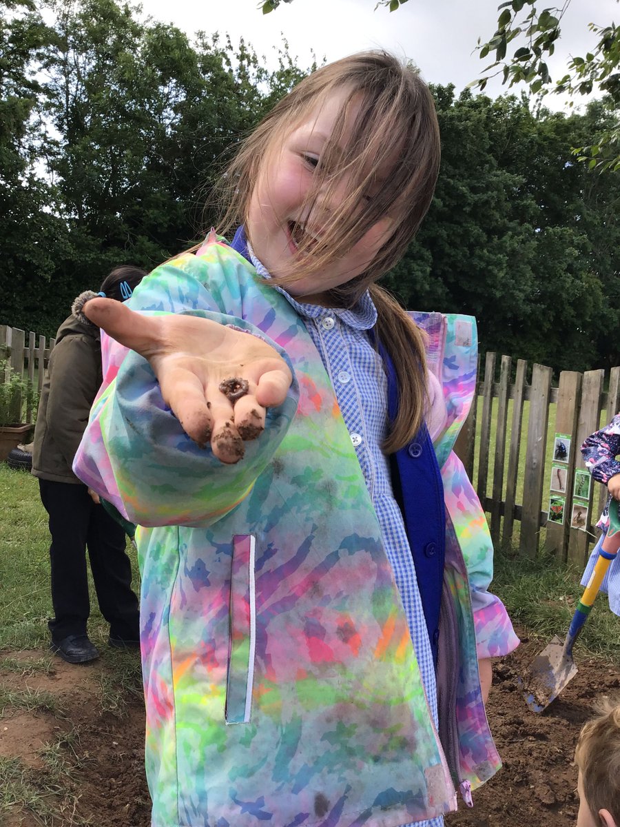 Blackfield Primary tweet media