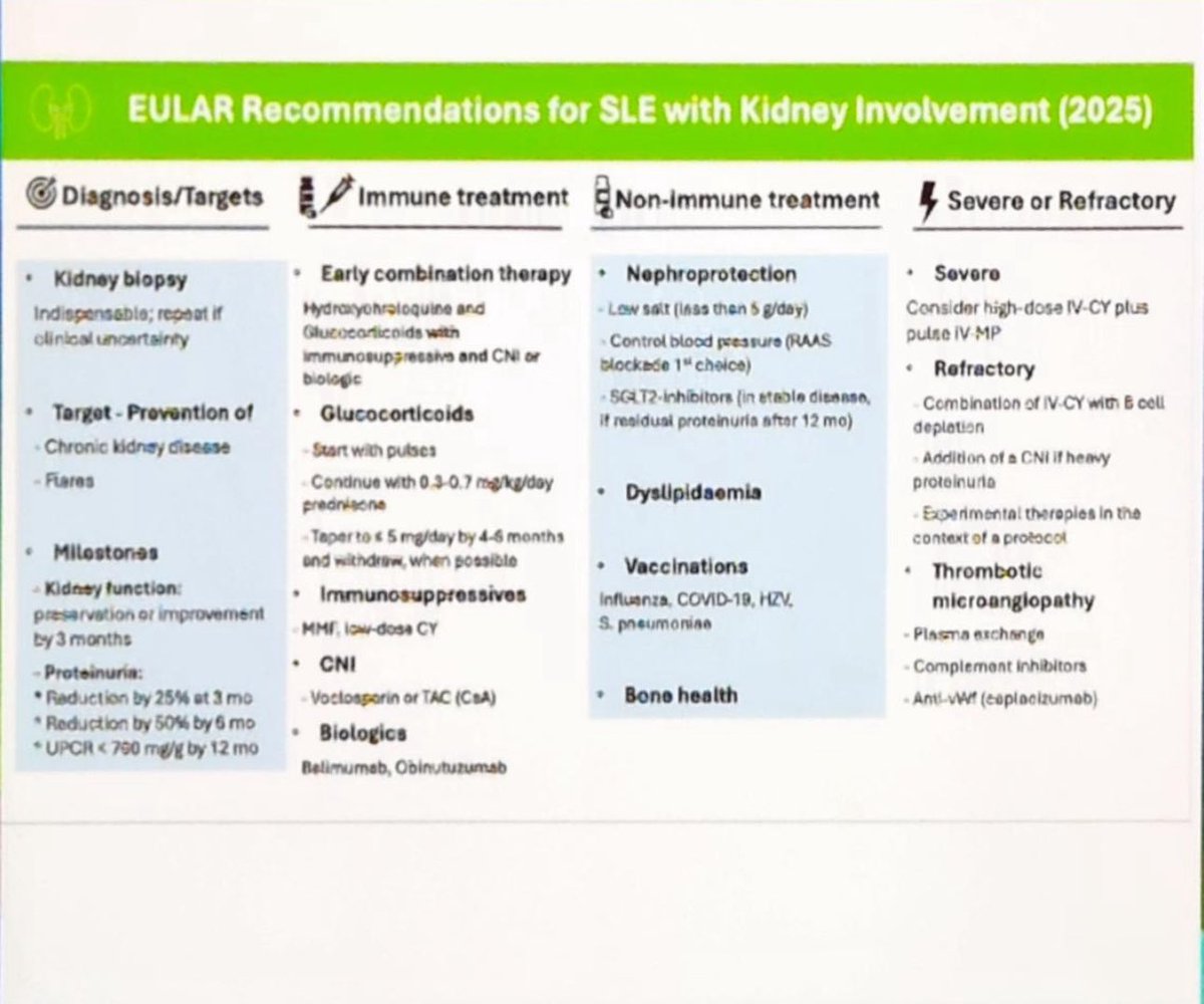 Recommendations for #SLE with kidney involvement 
NEW #EULAR2025 for #LupusNephritis 
✅early renal biopsy
✅early combination therapy 
✅non-immune treatment