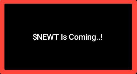 DANNY-OF-WEB3 🧸✨ tweet media