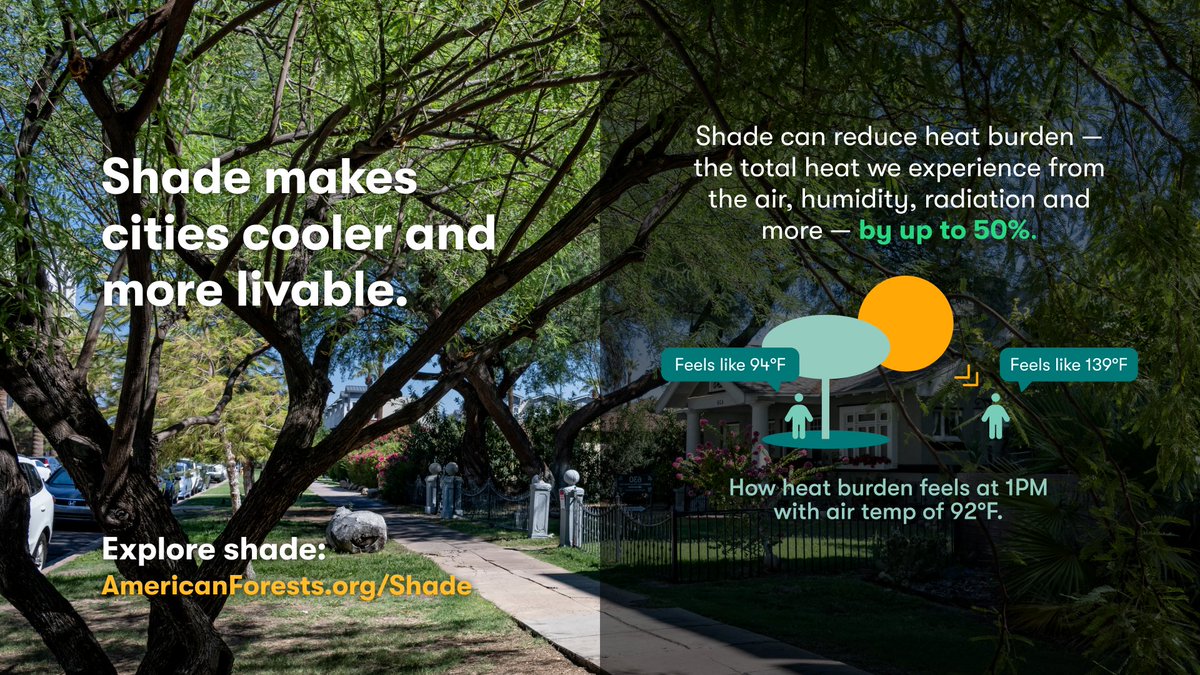 American Forests (@americanforests) on Twitter photo Most #Detroit bus stops offer zero shade even in extreme heat.
With <a href="/LuskinCenter/">UCLA Luskin Center for Innovation</a>, we’re using advanced shade data to guide smart cooling investments that boost heat resilience, walkability & health.
bit.ly/3HTL84J Most #Detroit bus stops offer zero shade even in extreme heat.
With <a href="/LuskinCenter/">UCLA Luskin Center for Innovation</a>, we’re using advanced shade data to guide smart cooling investments that boost heat resilience, walkability & health.
bit.ly/3HTL84J