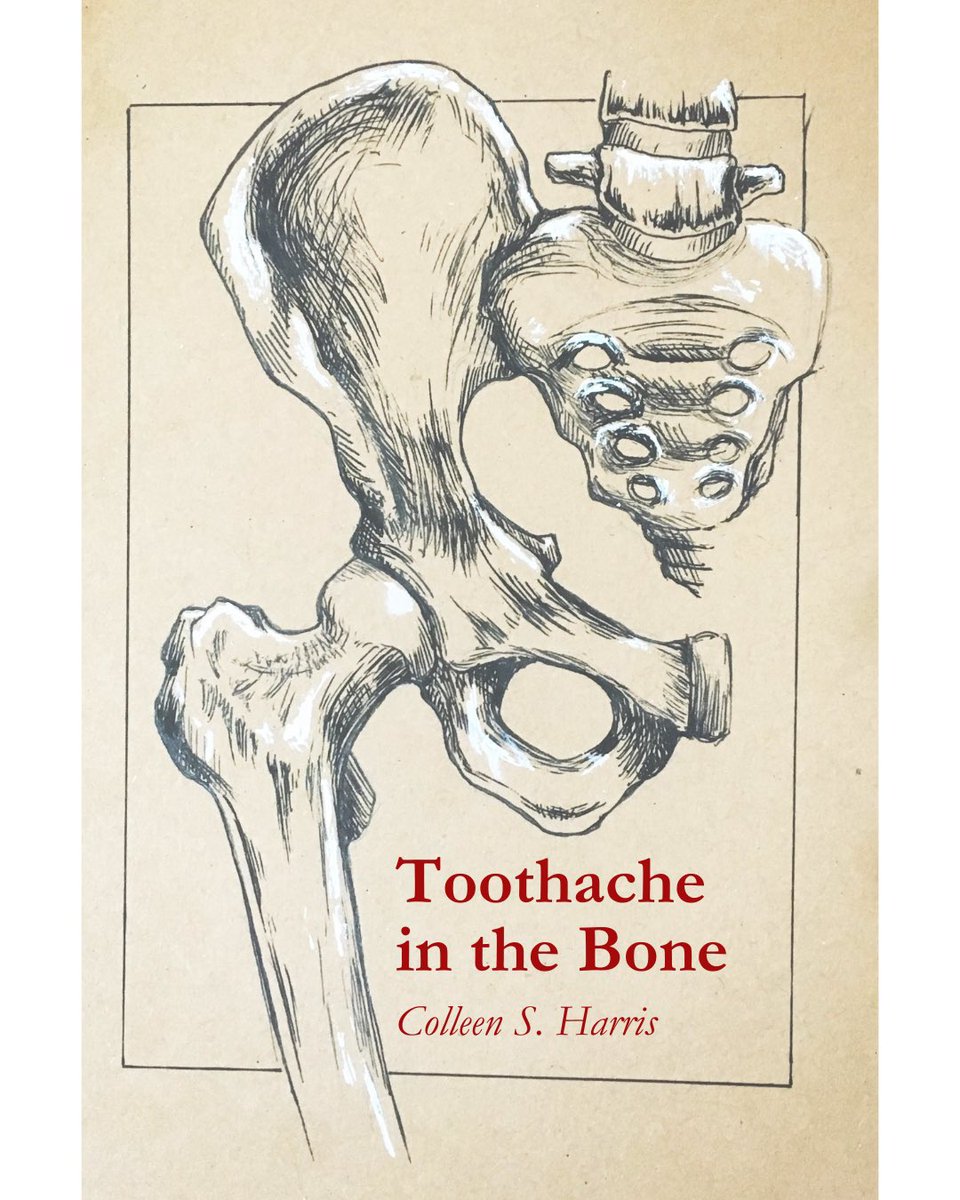 boats against the current (@boatsagainstmag) on Twitter photo we’re delighted to share that “Toothache in the Bone” by <a href="/warmaiden/">Colleen S. Harris: poet, scholar, librarian</a> is out today ⛵️ boatsagainstthecurrent.org/chapbooks/toot… we’re delighted to share that “Toothache in the Bone” by <a href="/warmaiden/">Colleen S. Harris: poet, scholar, librarian</a> is out today ⛵️ boatsagainstthecurrent.org/chapbooks/toot…