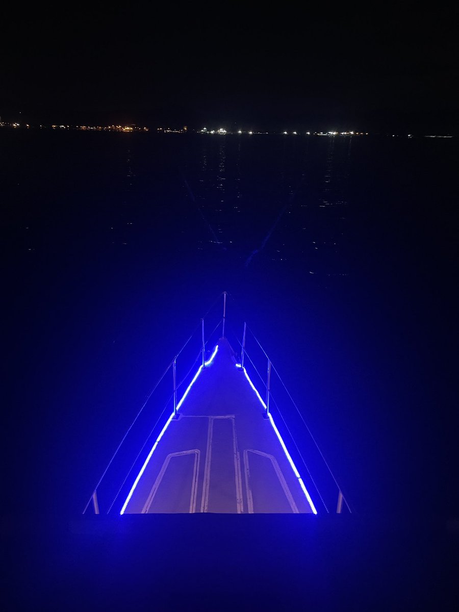 cxhelleferrer's tweet photo. Toilet Dust Party by @toiletdustsui @ Subic Yatch Club, PH ! 🥳

#toiletsummer https://t.co/PXheRTm0aJ