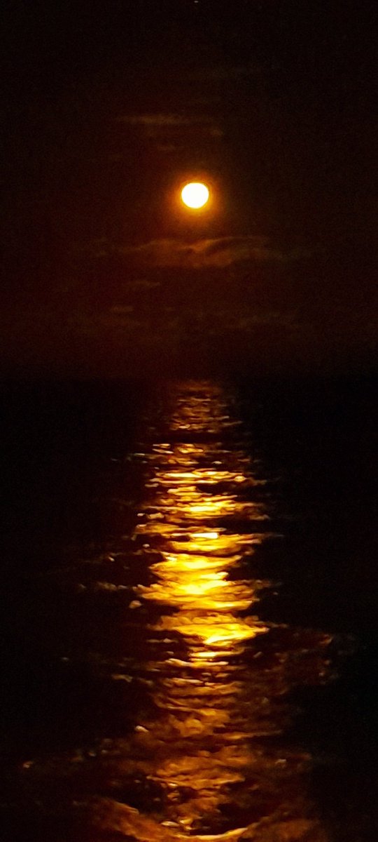 Joyfuke's tweet image. 