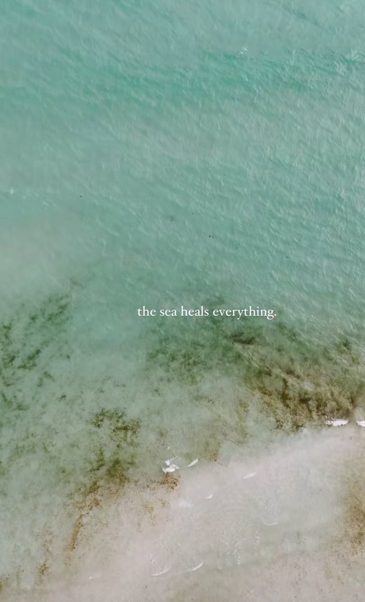 Mayed (@stellarshitttt) on Twitter photo 