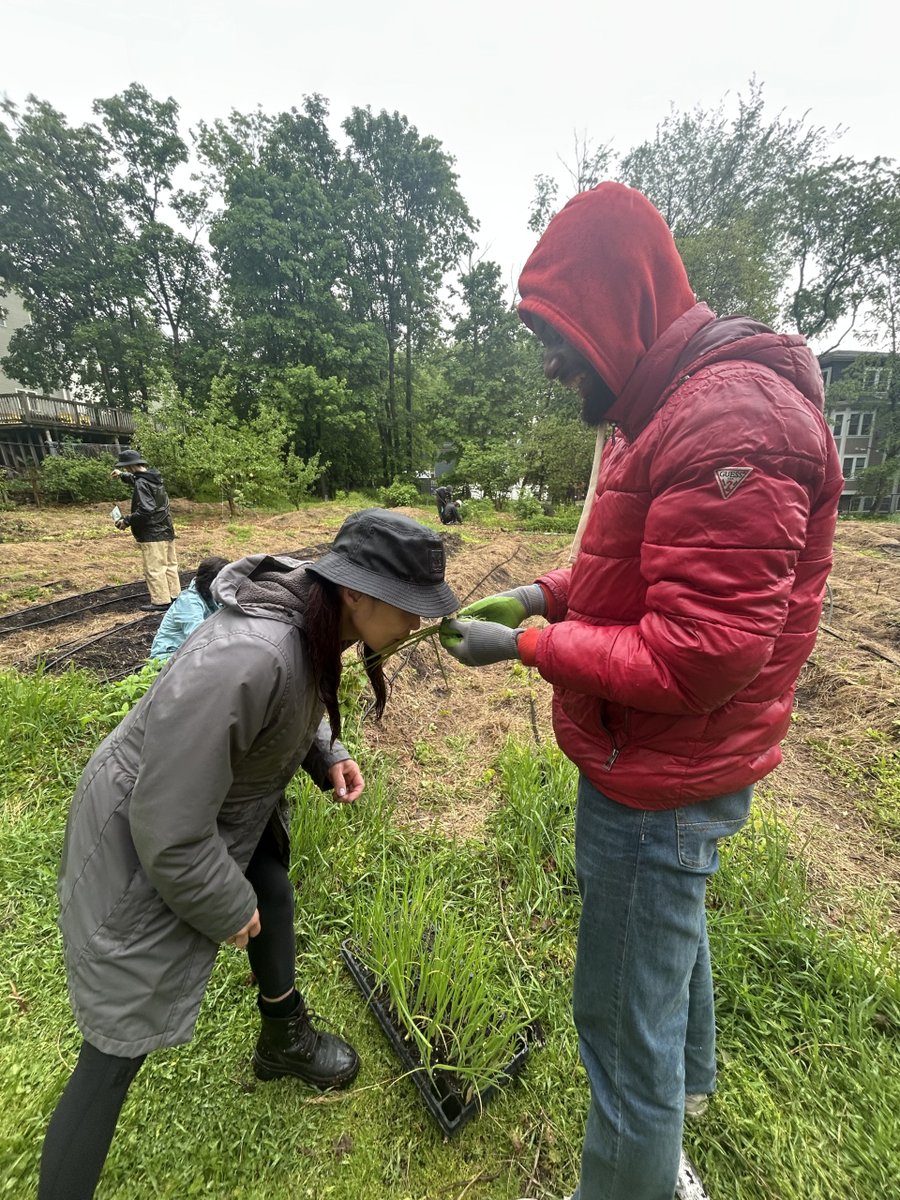 A little rain can't stop our spirited volunteers! The growing season is well underway at the Thornton Street Farm--we hope you'll join us for farm workdays this summer! 🌱

#HaleyHouse #FoodWithPurpose #PowerOfCommunity #UrbanAgriculture