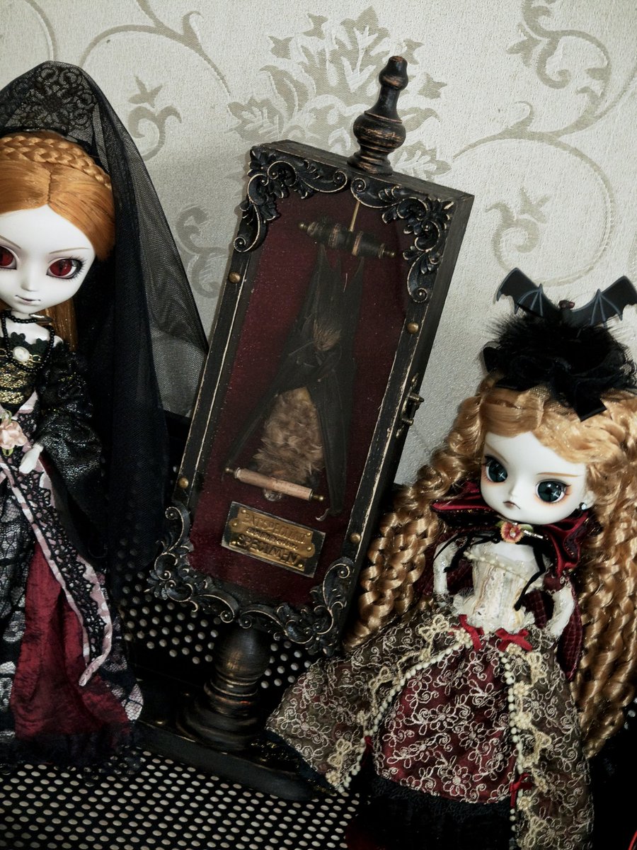 SLEEPMOSS (@shuimooo) on Twitter photo 