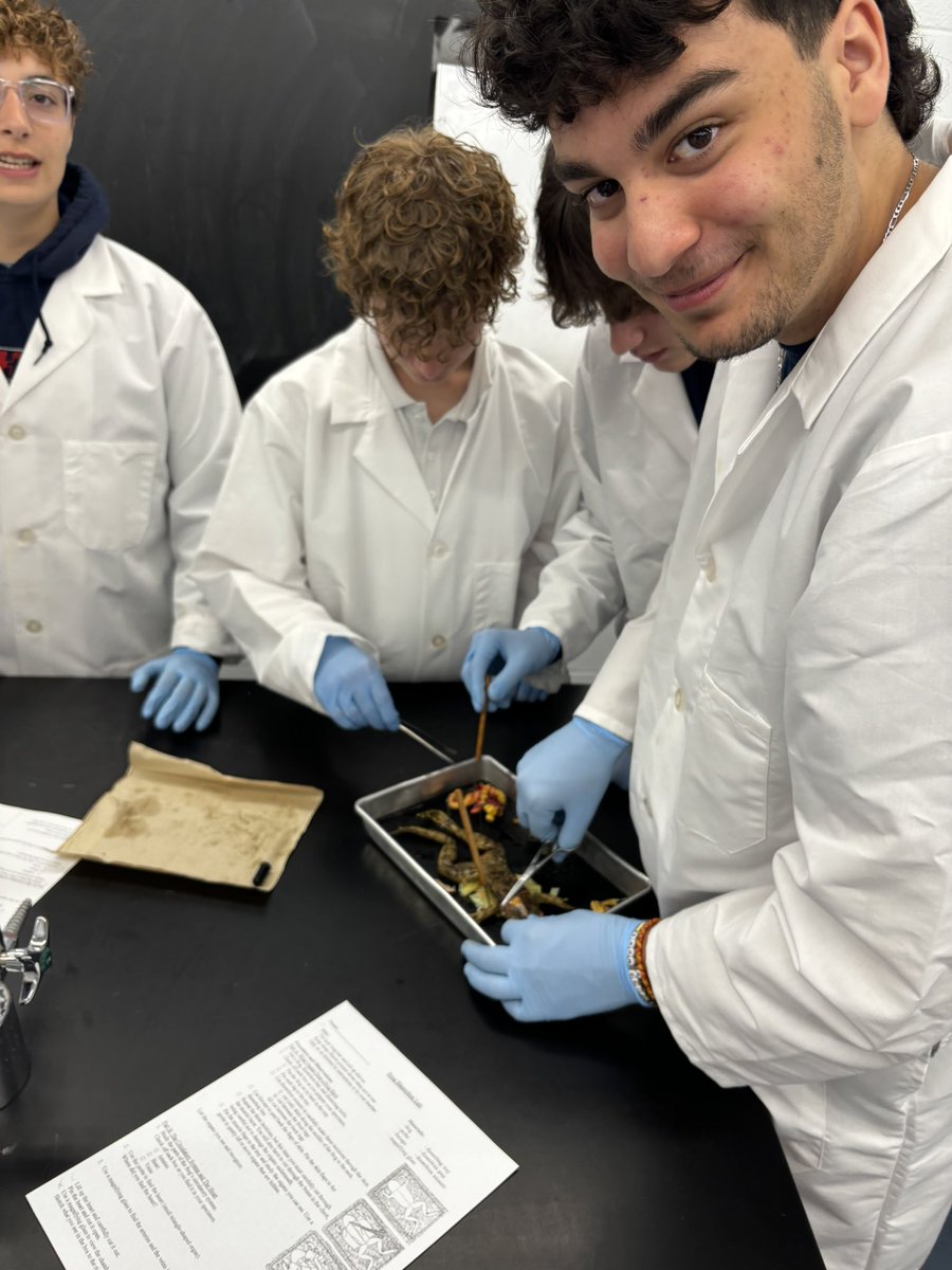 Mr./M. Pisciuneri (@leoanthonyp) on Twitter photo <a href="/WECDSB/">WECDSB</a> <a href="/HolyNamesCHS/">Holy Names Cath.H.S.</a> Leaps of fun!! Frog dissection day! Body Systems at work! 🐸🔬🥼🥽 #Grade10 <a href="/uwinscience/">UWindsor Faculty of Science</a> <a href="/WECDSB/">WECDSB</a> <a href="/HolyNamesCHS/">Holy Names Cath.H.S.</a> Leaps of fun!! Frog dissection day! Body Systems at work! 🐸🔬🥼🥽 #Grade10 <a href="/uwinscience/">UWindsor Faculty of Science</a>