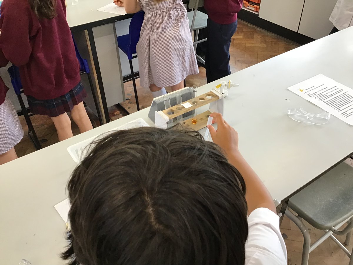 AVPA-Year 6 tweet media