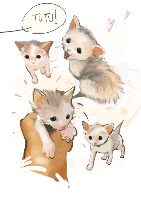 Tututaali !! Illustration for a cat themed fanzine whose profits will all be donated to a cat shelter in Italy stay tuned for when it comes out!