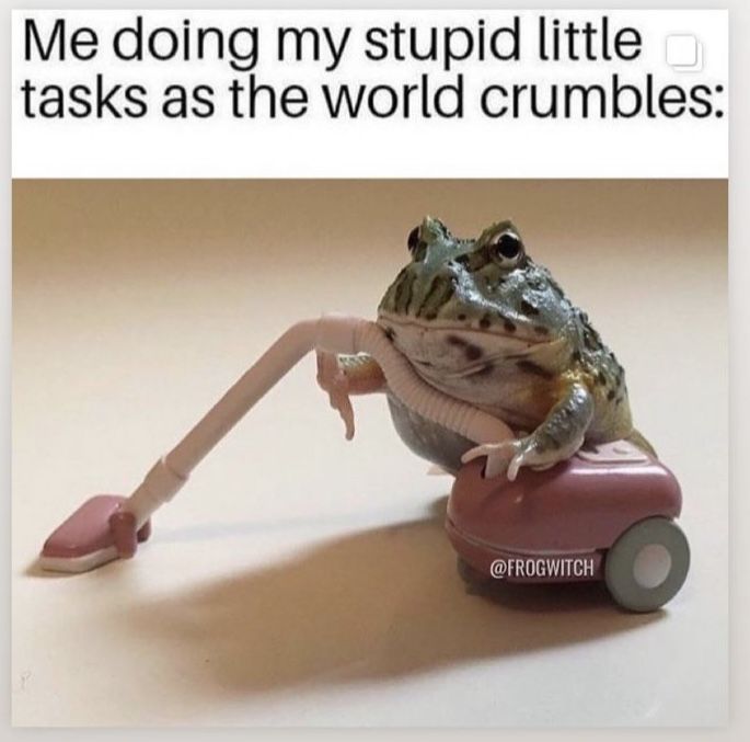 No Context Frogs tweet media