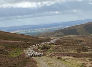 Michael Priestley tweet media