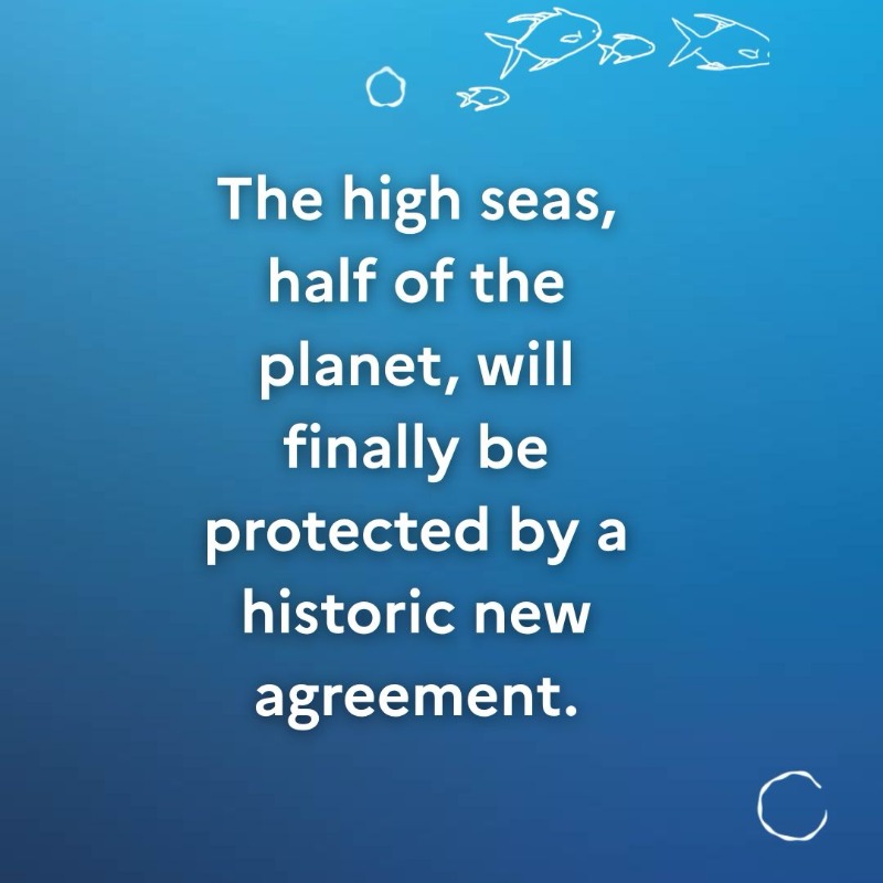 francediplo_EN's tweet photo. 🌊 #UNOC3 is just over… but the wave of actions for the Ocean is just getting started!

Here are 5 big wins from this historic week in Nice 👇