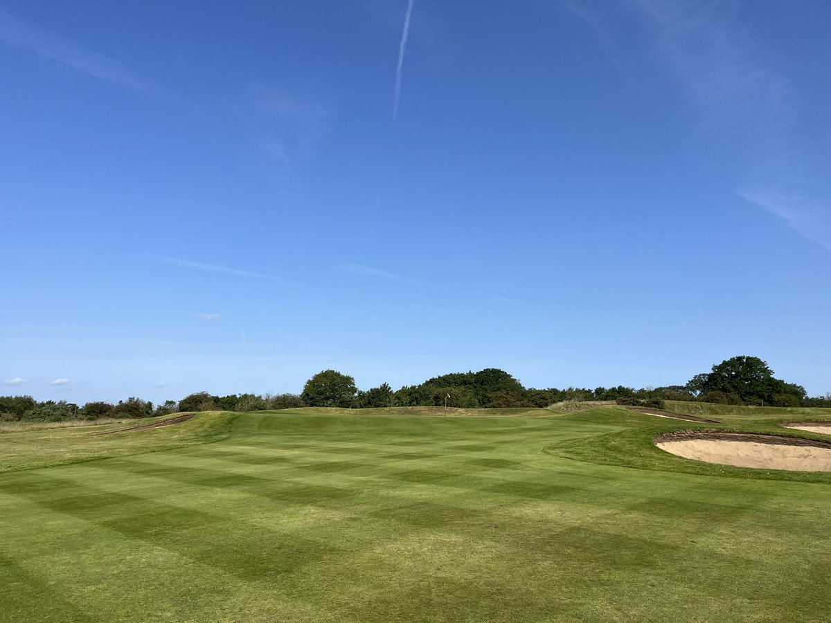 Aaron Allibon tweet media