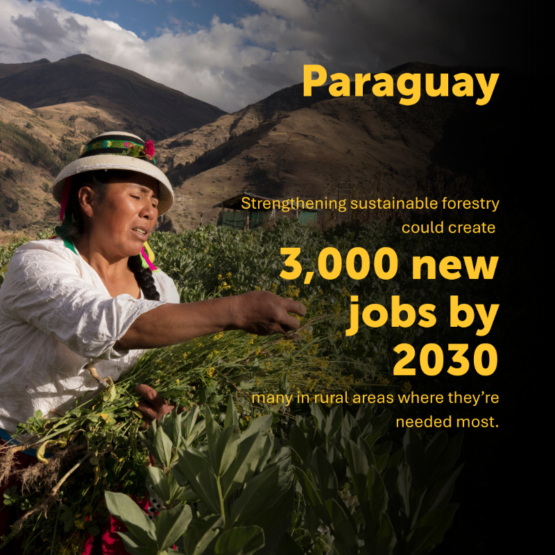 IFC_org's tweet photo. Unlocking private investment is key to growth. @WorldBank Group’s new approach to Country Private Sector Diagnostics (#CPSD) pinpoints near-term, concrete policy actions to attract investments and create jobs in emerging markets. 

Learn more: https://t.co/Cnqzj3z5VN