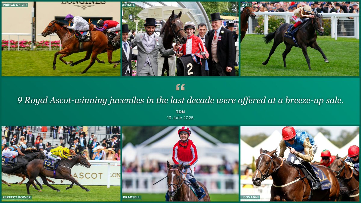 Goffs UK tweet media