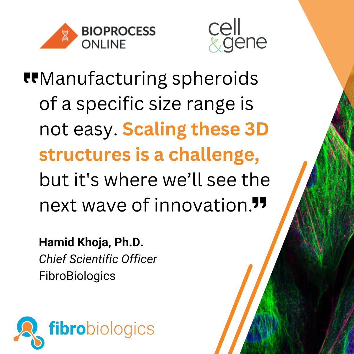FibroBiologics (@fibrobiologics) on Twitter photo Dr. Hamid Khoja of <a href="/FibroBiologics/">FibroBiologics</a> joined a biotech roundtable hosted by <a href="/BioProcessOL/">BioProcess Online</a> <a href="/_CellandGene/">Cell&Gene</a> where he shared his views on 3D cell manufacturing and the need for clearer definitions and safeguards around AI in life sciences.
$FBLG #BiotechInnovation #CellTherapy Dr. Hamid Khoja of <a href="/FibroBiologics/">FibroBiologics</a> joined a biotech roundtable hosted by <a href="/BioProcessOL/">BioProcess Online</a> <a href="/_CellandGene/">Cell&Gene</a> where he shared his views on 3D cell manufacturing and the need for clearer definitions and safeguards around AI in life sciences.
$FBLG #BiotechInnovation #CellTherapy