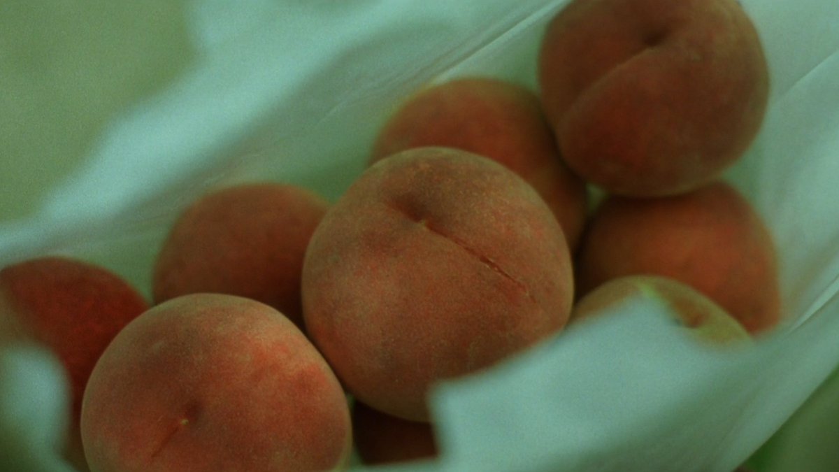 acacinema's tweet image. Guess the film.