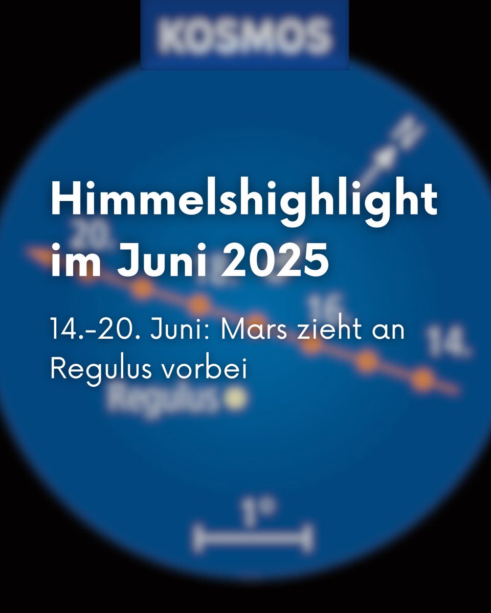 Zur Junimitte ereignet sich eine interessante Begegnung am Westhimmel: Mars zieht nördlich am „kleinen König“ Regulus vorbei, dem hellsten Stern im Löwen. Wie ihr die beiden findet, erfahrt ihr unter shorturl.at/YFJWa #himmelsjahr