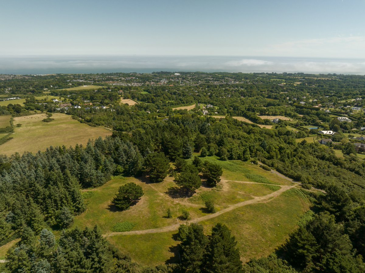 Dublin Mountains Community Archaeology tweet media