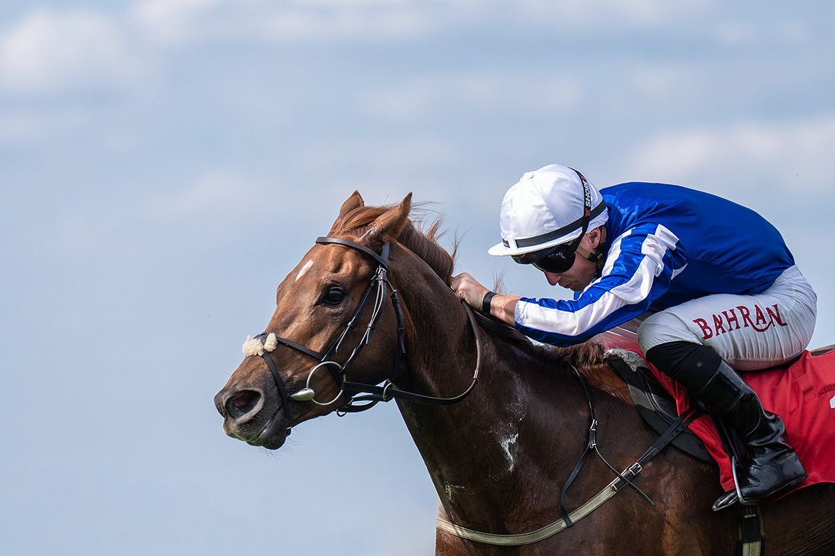 Last Shamardal records his 3rd success this year, winning at Sandown under Tom Marquand. Congratulations to his owner, Jaber Abdullah 🏆

#JackChannonRacing #JCR