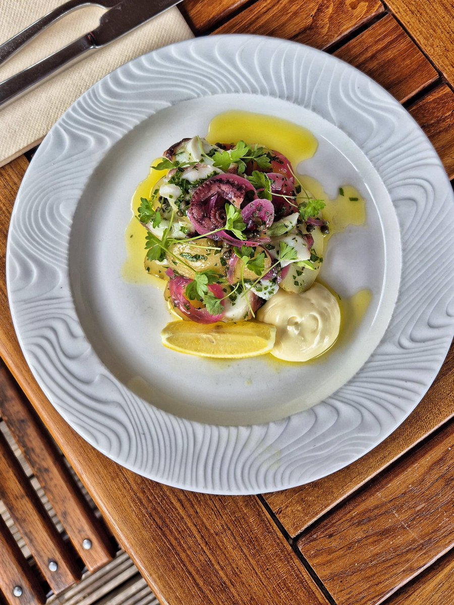 noahsbristol's tweet photo. Octopus salad with aioli bringing the holiday vibes, new on the menu tonight! 🐙

#octopus #octopussalad #sunshinefood https://t.co/aVWkJLUsTv
