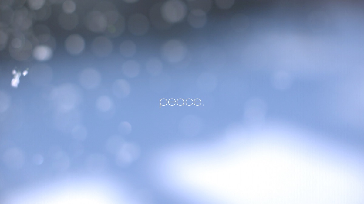 DAS Architects, Inc. tweet media