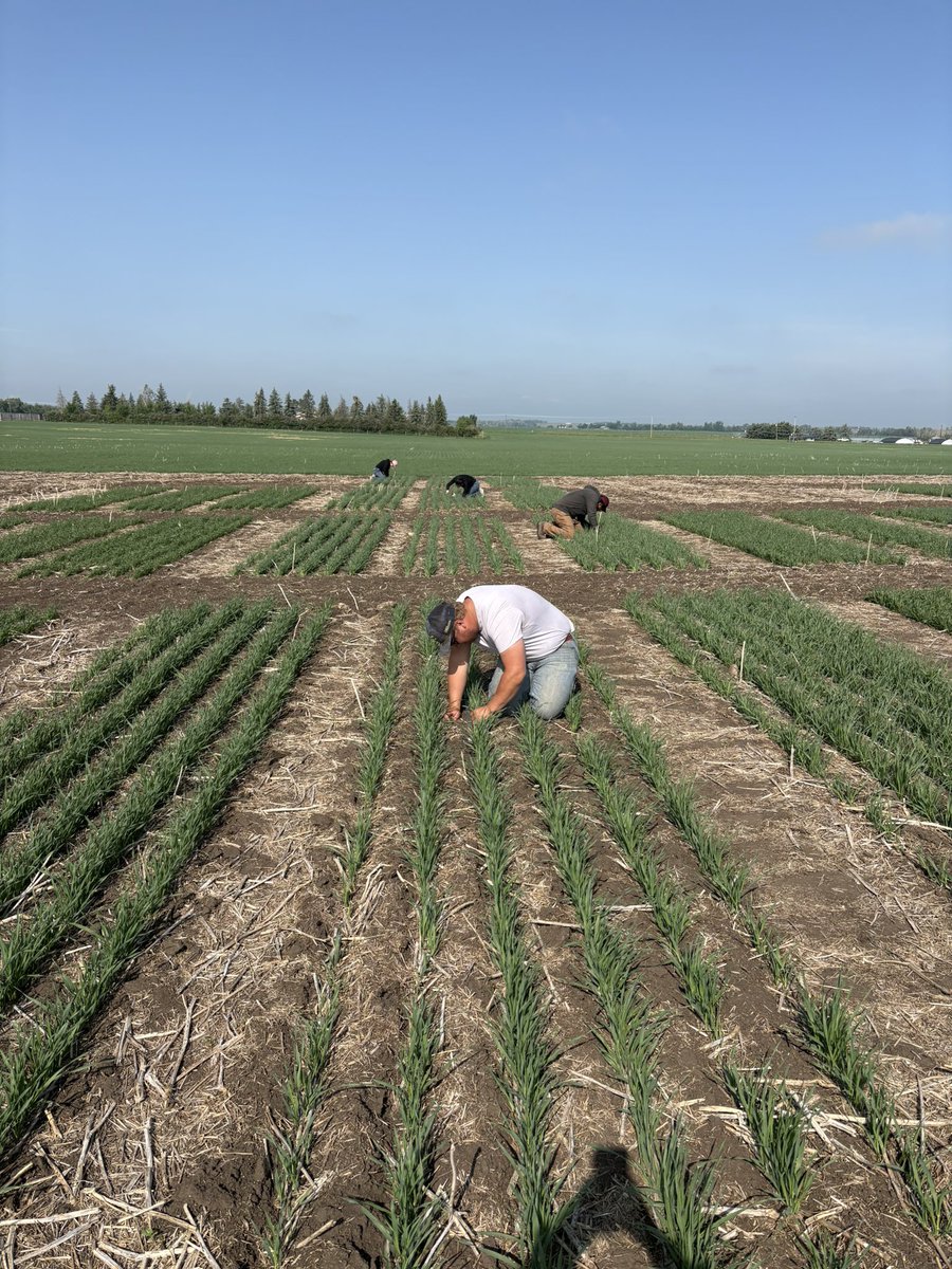 MAGresearch tweet media