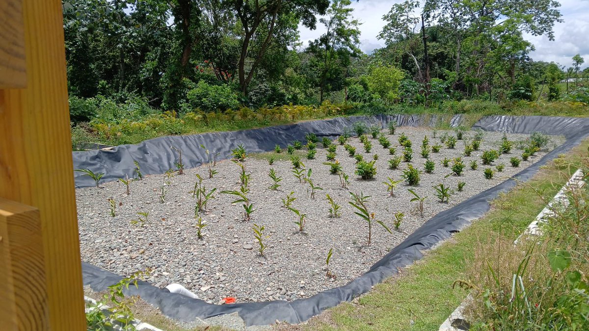 Fundación Sur Futuro tweet media