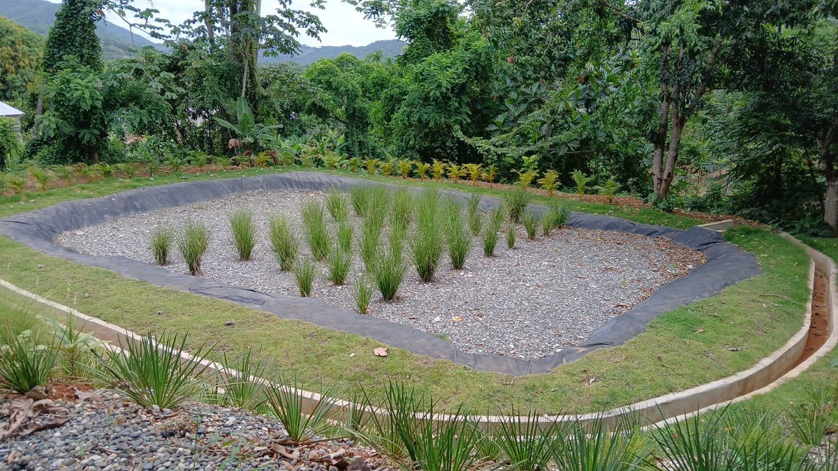 Fundación Sur Futuro tweet media