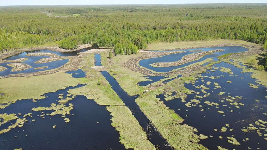 WaterLANDS_EU's tweet image. 📢 Our @WaterLANDS_EU partners from @GTK_FI have published a new policy brief on #peatland #restoration in Finland, which highlights the policy impact being made beyond our WaterLANDS Action Sites: waterlands.eu/news-and-event…