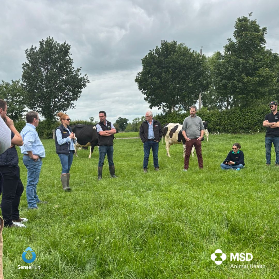 SenseHub Ireland tweet media