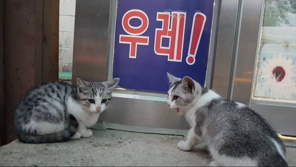 TcreamT's tweet image. 오늘은 알람 안맞추고자야징ㅎㅎ